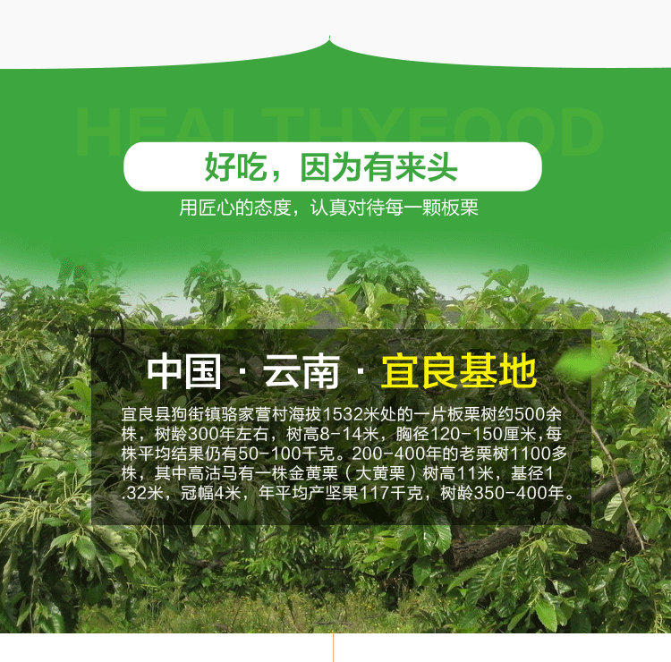 云南新鮮板栗2_07.gif