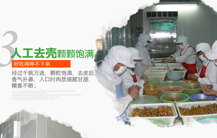 速凍板栗2_05.jpg