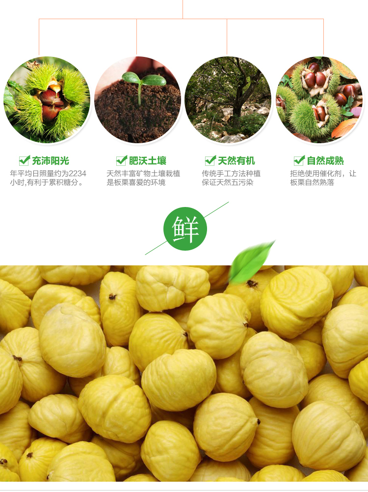 速凍板栗2_07.jpg